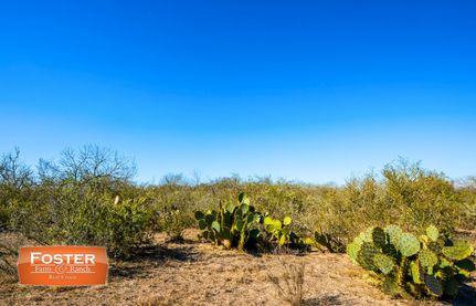 Farm and Ranch for sale in Jim Wells County, Texas