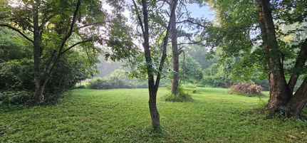 Timberland Property for sale in Fairfax County, Virginia