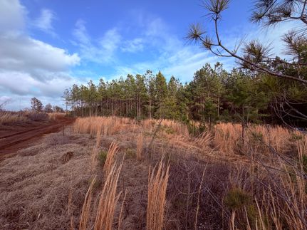 Land for sale in Hancock County, Georgia