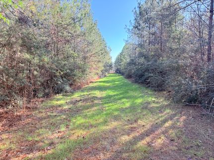 Farm and Ranch for sale in Pike County, Mississippi