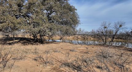 Farm and Ranch for sale in McCulloch County, Texas