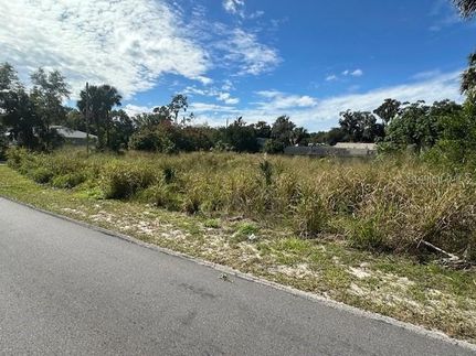 Land for sale in Volusia County, Florida