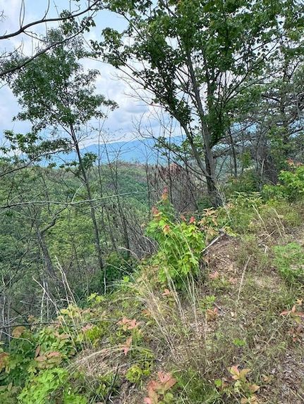 Land for sale in Cherokee County, North Carolina