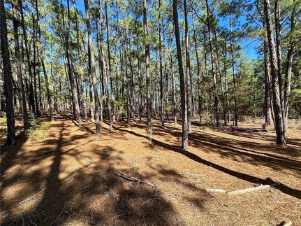 Land for sale in Bastrop County, Texas