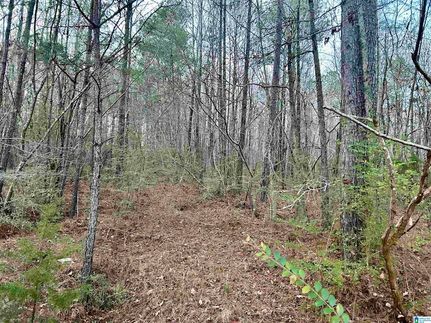 Undeveloped Land for sale in Jefferson County, Alabama
