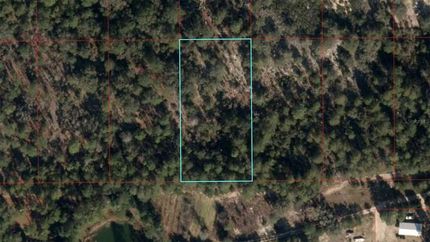 Homesite for sale in Levy County, Florida