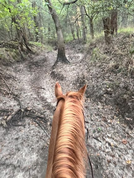 Land for sale in Hunt County, Texas