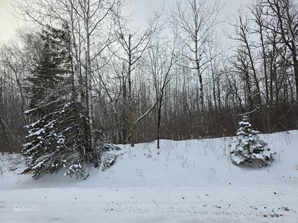 Land for sale in Becker County, Minnesota