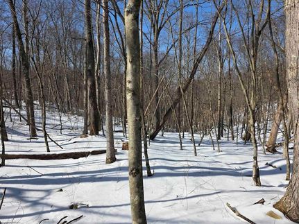 Land for sale in Taylor County, West Virginia