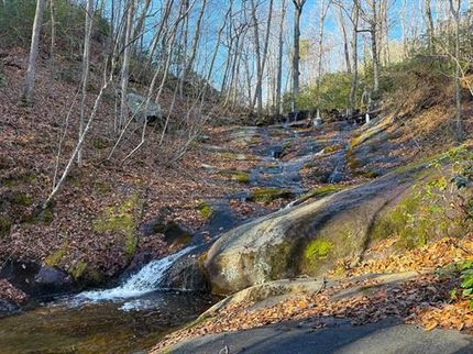 Undeveloped Land for sale in Nelson County, Virginia