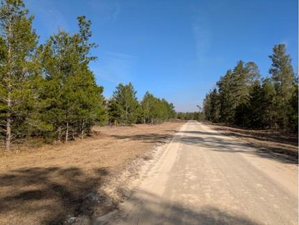 Undeveloped Land for sale in Madison County, Florida