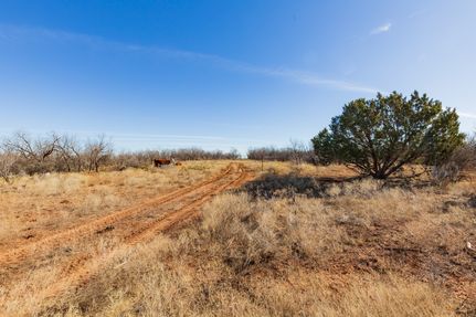 Farm and Ranch for sale in Jones County, Texas