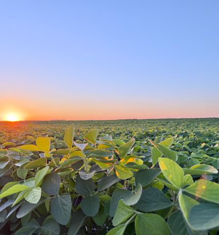 Land for sale in Logan County, North Dakota
