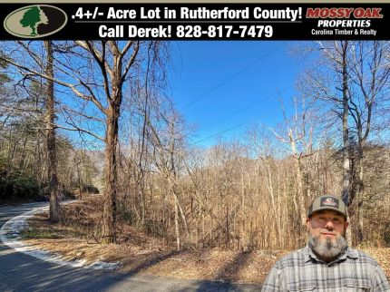Undeveloped Land for sale in Rutherford County, North Carolina