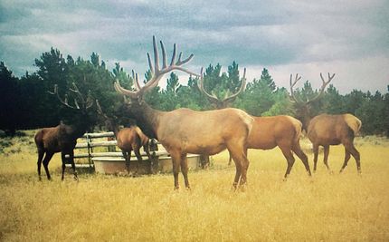 Recreational Property in Yellowstone County, Montana
