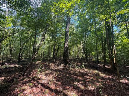 Timberland Property for sale in Shelby County, Texas