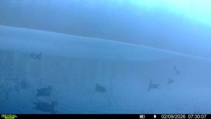 Farm and Ranch for sale in Crittenden County, Arkansas