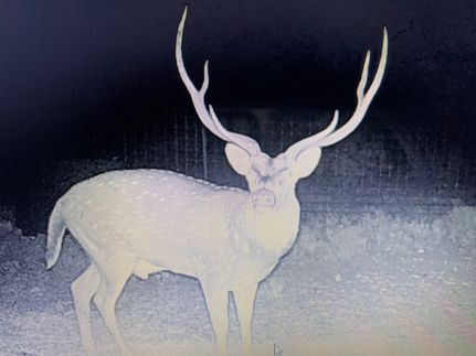 House for sale in Sutton County, Texas