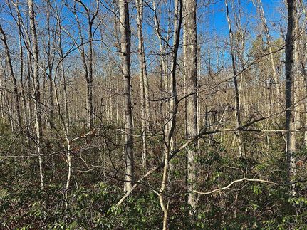 Recreational Property for sale in Fentress County, Tennessee