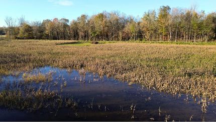 Recreational Property for sale in Benton County, Tennessee