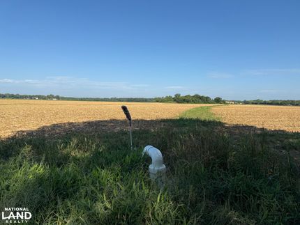 Land for sale in Richland Parish, Louisiana