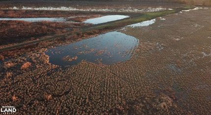 Farm and Ranch for sale in East Carroll Parish, Louisiana