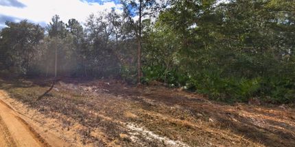 Farm and Ranch for sale in Putnam County, Florida
