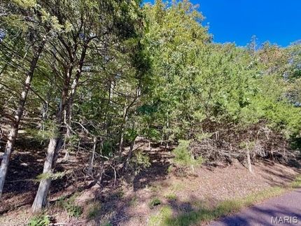 Undeveloped Land for sale in Warren County, Missouri