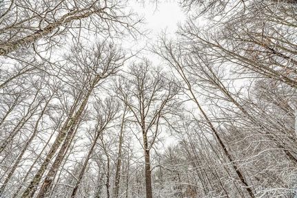 Land for sale in Vilas County, Wisconsin