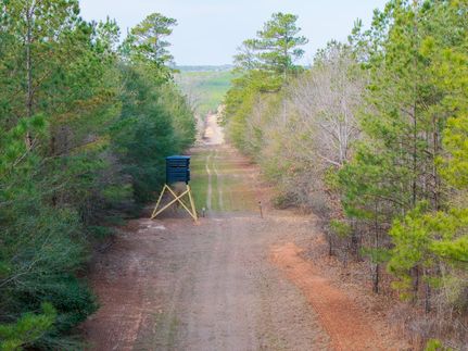 Land for sale in Jefferson County, Georgia