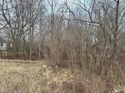 Land for sale in Wayne County, Michigan