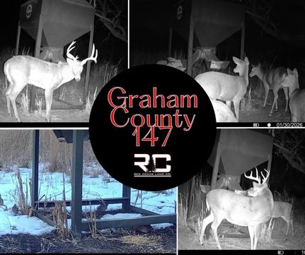 Land for sale in Graham County, Kansas