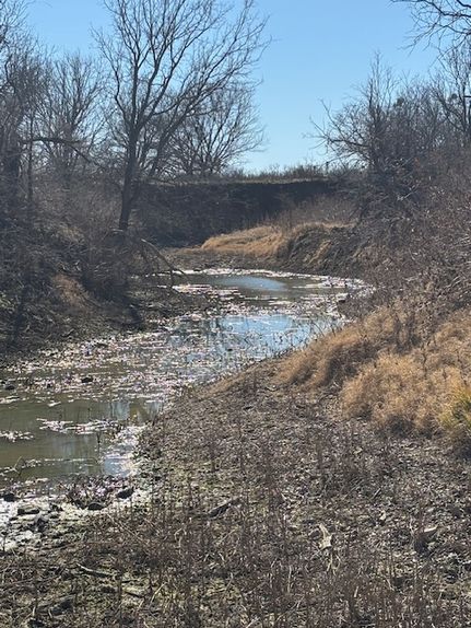 Hunting Property for sale in San Saba County, Texas