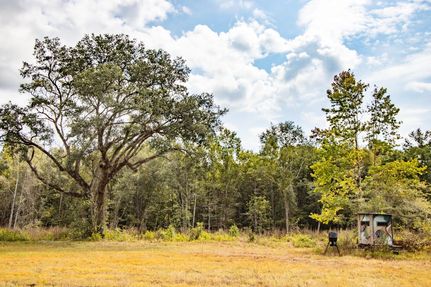 Land for sale in Jackson County, Florida