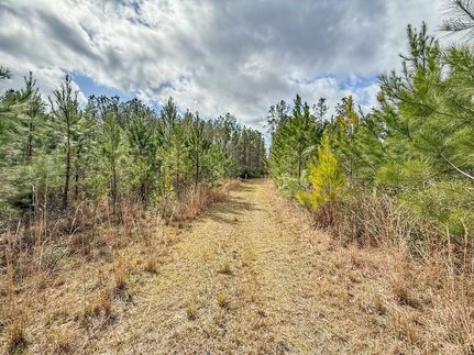 Land for sale in Holmes County, Florida