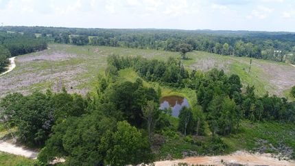 Recreational Property for sale in Crenshaw County, Alabama