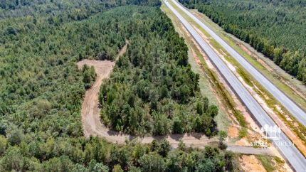 Land for sale in Randolph County, Georgia