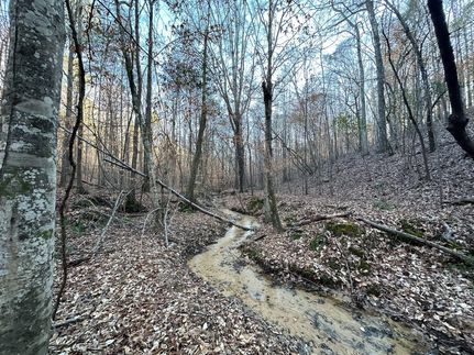 Recreational Property for sale in Perry County, Alabama