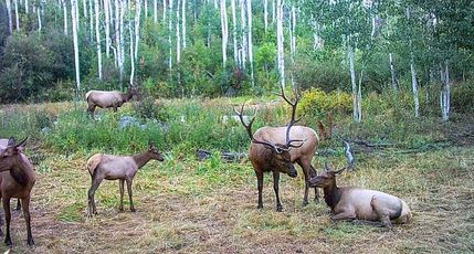 Land for sale in Montrose County, Colorado