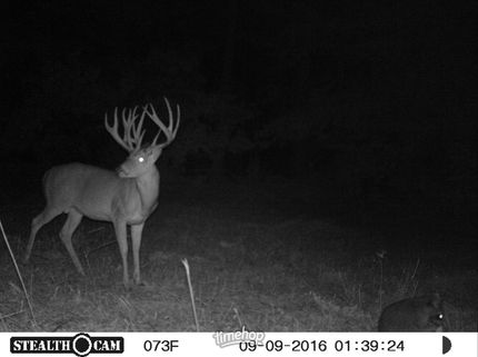 Hunting Property for sale in White County, Arkansas