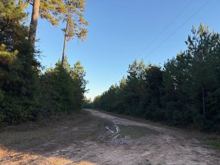 Recreational Property for sale in Tyler County, Texas