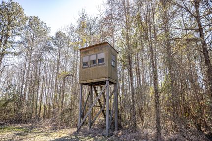 Land for sale in Amite County, Mississippi