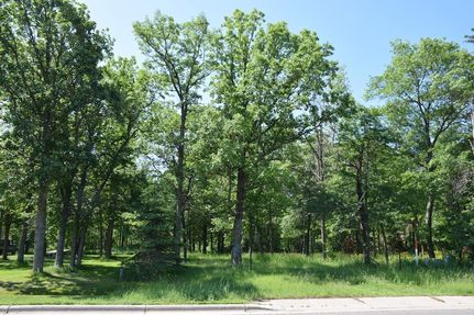 Homesite for sale in Beltrami County, Minnesota