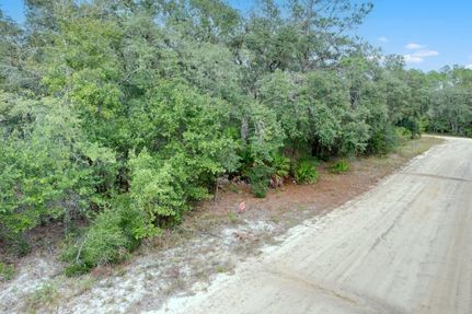 Land for sale in Putnam County, Florida