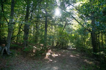 Farm and Ranch in Claiborne County, Mississippi