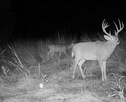 Land for sale in Coffey County, Kansas