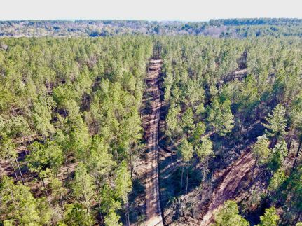 Timberland Property for sale in Jones County, Mississippi