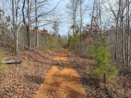Timberland Property for sale in Clay County, Alabama