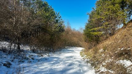 Hunting Property for sale in Wayne County, West Virginia