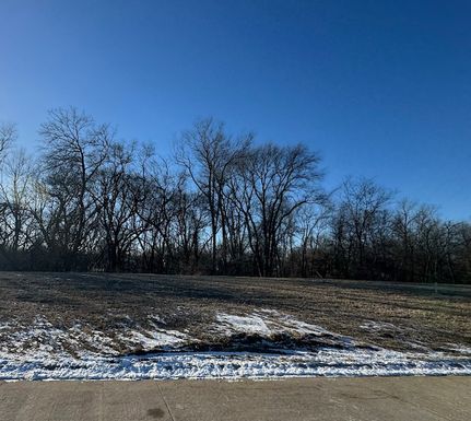 Undeveloped Land for sale in Scott County, Iowa